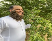 ٢٤٠ ألف نحلة تغطي وجه نحال الباحة