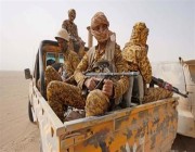 الجيش اليمني يستهدف تعزيزات عسكرية للحوثيين في صعدة.. إسقاط مسيرة