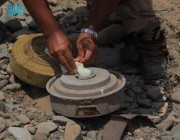 مشروع مركز الملك سلمان للإغاثة “مسام” ينتزع 1.581 لغمًا في اليمن خلال أسبوع
