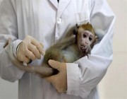 الصين تسجل أول وفاة بـ”الفيروس القردي” لطبيب بيطري
