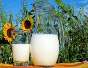 الحليب الحيواني أم النباتي… أيهما أكثر فائدة