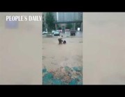 إنقاذ أشخاص من الغرق في الصين
