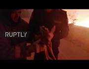 إنقاذ غزال صغير من وسط النيران بروسيا