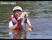 إنقاذ كلب من وسط الفيضانات بالصين