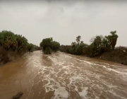 الأرصاد : أمطار وبرد وسيول على منطقة جازان