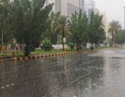 الأرصاد: هطول أمطار على 7 مناطق بالمملكة.. بدءًا من الأربعاء
