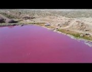 التلوث يغير لون بحيرة في الأرجنتين إلى اللون الأحمر الوردي