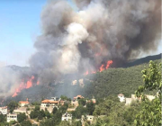الجيش يتدخل.. حريق هائل يشتعل في لبنان