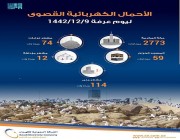 “السعودية للكهرباء”: أحمال يوم “عرفة” 74 ميجا وات.. واستقرار كامل للخدمة الكهربائية