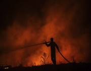 دخان كثيف في سماء الأردن إثر حرائق غابات بتركيا ولبنان