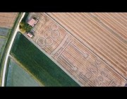 فنان إيطالي يحفر شعار أولمبياد طوكيو برسم ضخم في حقل زراعي