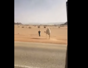 فيديو طريف لشاب يخطف “حاشي” من أمام أمه لإبعادهما عن الطريق