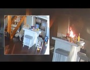 كلب يتسبب في اشتعال حريق داخل أحد المنازل بأمريكا