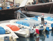 “البيئة”: مهلة شهر لملاك القوارب في مرافئ الصيد لمراجعة الجهات المختصة