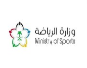 وزارة الرياضة: “التيفو” ممنوع في المدرجات (فيديو)