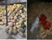 فيديو.. إحباط محاولة توزيع كميات هائلة من الخضراوات مجهولة المصدر بجنوب الرياض
