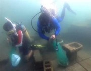 بفيديو من تحت الماء.. 130 غواصاً ينظفون أعماق شواطئ الشرقية