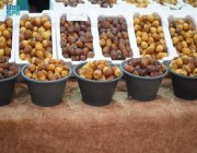 65 نوعا من التمور في مهرجان التمر والعسل بدومة الجندل أبرزها حلوة الجوف