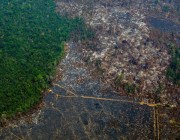 إزالة الغابات في الأمازون خلال عام تقترب من المستوى القياسي