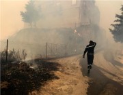 ارتفاع حصيلة حرائق الغابات في الجزائر إلى 65 وفاة