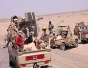الجيش اليمني يحقق تقدم جديد في جبهة الكسارة بغرب مأرب