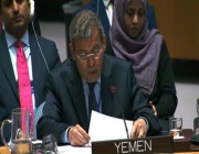 الحكومة اليمنية تجدد استعدادها لدعم المبعوث الأممي بهدف استئناف العملية السياسية