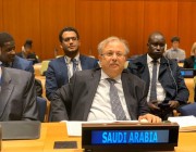 مندوب السعودية بالأمم المتحدة: هناك تيارات متشددة في ليبيا تدعمها جهات خارجية