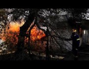 حريق هائل يلتهم الغابات غرب العاصمة اليونانية لليوم الرابع على التوالي