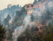 رئيس وزراء الجزائر: الحرائق كانت نتيجة فعل إجرامي والدولة لن تتسامح مع المتورطين