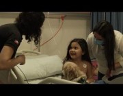 كلاب مدربة في تشيلي للترفيه عن الأطفال المرضى داخل أحد المستشفيات
