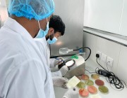 مختبر أمانة عسير يستقبل 323 عينة أغذية خلال يوليو الماضي
