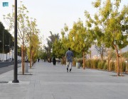 مشروع تأهيل وتطوير “وادي العقيق” بالمدينة المنورة يعيد إحياء الوادي