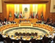 “وزراء الداخلية العرب” والبرلمان العربي يدينان اعتداءات ميليشيا الحوثي الإرهابية على المملكة
