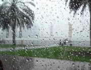 “الحصيني”: أمطار ورياح مُثيرة للأتربة على تلك المناطق خلال إجازة نهاية الأسبوع