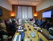 وزير الخارجية يشارك في اجتماعات عربية للتصدي للاعتداءات الإسرائيلية والتدخلات الإيرانية والتركية