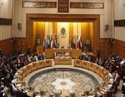 العربي يؤكد ضرورة التكاتف الدولي لردع ميليشيا الحوثي الإرهابية
