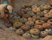 مشروع مركز الملك سلمان للإغاثة “مسام” ينتزع أكثر من 1,700 لغم في اليمن خلال أسبوع