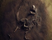 اكتشاف جديد يوضح شكل الديناصورات أكلة اللحوم 