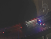 الشرطة تطارد سيارة تسلا ذاتية الحركة يقودها سائق فاقد الوعي (فيديو)