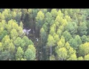 تحطم طائرة روسية بعد اصطدامها بالأشجار بسبب الضباب