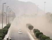 «خبير طقس»: اشتداد الرياح المثيرة للغبار على 5 مناطق