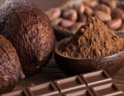 دراسة: الكاكاو يحمي من مخاطر الإصابة بأمراض القلب