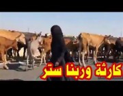 سيدات يرعين قطيع أبقار على طريق سريع في مصر