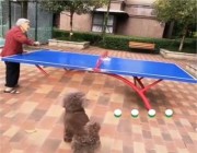 لحظات إنسانية.. رجل يلعب تنس الطاولة مع والدته المسنة (فيديو)