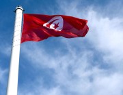 مستشار الرئيس التونسي: الدستور الحالي عائق ونسعى لاستبداله بنظام مؤقت