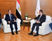 مصر وقبرص يتفقان على الإسراع في ربط حقل أفردويت بمحطتي الإسالة بدمياط