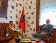 وزير الخارجية يبحث مع رئيس وزراء ألبانيا تعزيز العمل المشترك