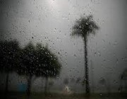 هطول أمطار على أجزاء متفرقة من منطقة الباحة (فيديو)