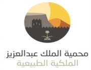 إطلاق الهوية البصرية الجديدة لمحمية الملك عبدالعزيز الملكية (فيديو)