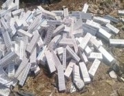 السلطات المصرية تُحقق في العثور على كميات من لقاحات “كورونا” وسط القمامة